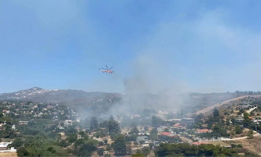 Φωτιά στην Παλλήνη: Άμεση παρέμβαση της πυροσβεστικής